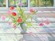 Tulips in the Evening Light|1990 By Timothy Easton