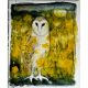 THE BUTTERCUP SUMMER by Catherine Hyde  