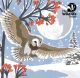 2026 Art Wildlife Trust mixed 153mm pack 10pk