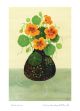Nasturtiums By Valerie Greeley