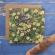 Wren and Primroses Medium Square Greetings Card By Driftwood Designs