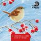 Wildlife Trust mixed ART 2025 153mm pack 10pk