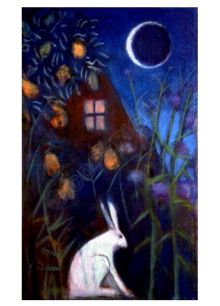 THE QUIET MOON by Catherine Hyde