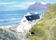 Welsh Dog By Hannah Cole
