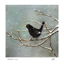 Blackbird in snow by Annie Mitra
