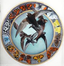 Butterflies & Swifts –by Sam Cannon