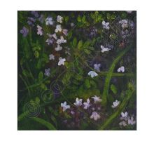 Where The Wild Thyme Grows By Catherine Hyde