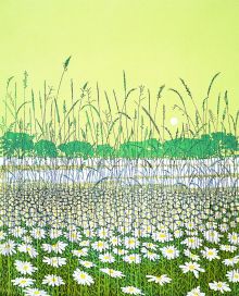 Daisy Field Greeting Card by Phil Greenwood