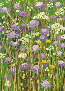 David's Meadow By Sarah Gillard