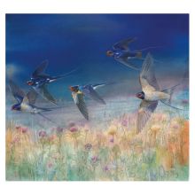 Evening Swallows Emma Faull