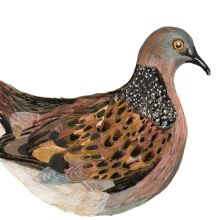 Turtle the Dove Birch Plywood Decoration By Clare O'Neill