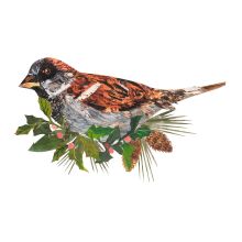 Festive Sparrow Birch Plywood Decoration By Clare O'Neill