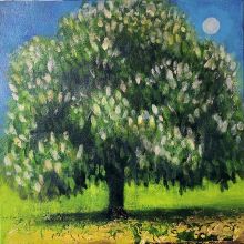 The candlelit tree By Catherine Hyde