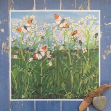 Orange Tip With Lady Smock Square Poster Print By Driftwood Designs