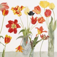 Parrot Tulips Dame Elizabeth Blackadder RA