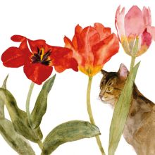 Cat Amongst Tulips Dame Elizabeth Blackadder RA