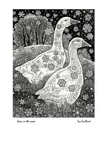 Geese in the snow By Sue Scullard 