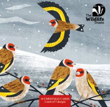 Wildlife Trust mixed ART Christmas pack of 10