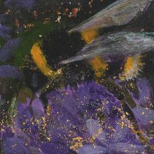 Where the bee sings by Catherine Hyde