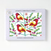 AGBI CHRISTMAS CARD PACK – Robins