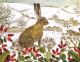 Vanessa Bowman Hare in the Snow
