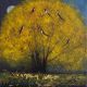 Six for gold The Magpie Song By Catherine Hyde