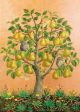 Marcelle Milo-Gray Bosc Pears with Little Owls