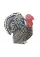 Turkey Norfolk 3D by Judy Lumley Prints