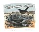 Early Nesters lithograph by Angela Harding - Art Greeting Card