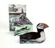 Puffins at Coquet Island concertina cards by Angela Harding