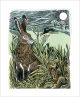 Hidden Hares by Angela Harding