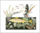 Emily's Fish Watercolour by Angie Lewin Art Greeting Card