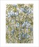 The Walled Garden Screenprint by Angie Lewin