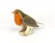 Pop-Out Robin
by Alice Melvin