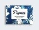Apothecary Pigeons By Pigeon Posted
