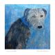 Hairy Lurcher Blues By Anna Wilson Patterson