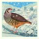 First Flurry by Jenny Tylden-Wright 5 CHARITY CHRISTMAS CARDS