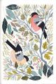Bullfinches - Claire Tuxworth