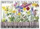 British Wildflowers By Driftwood Designs