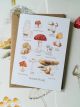 British Fungi Card By Angela Hennessy