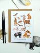British Mammals Greetings Card By Angela Hennessy
