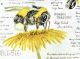 Bumble Beauty By Drawn Into Nature-