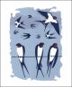 Swallows (Tweet of the Day) Screen print by Carry Akroyd