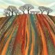 Earth Lines Rebecca Vincent - Greetings Cards 