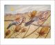 Late Summer Chaffinches watercolour by Emily Sutton