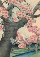 Cherry Blossoms at Koganei in the Eastern Capital (Toto Koganei sakura) Artist: Utagawa Hiroshige I