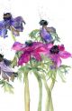 Fading Anemones By Vivienne Cawson