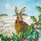 Festive Hare by Denny Webb