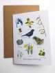 First Signs Of Spring card By Angela Hennessy