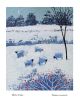 Winter Dales By Giuliana Lazzerini